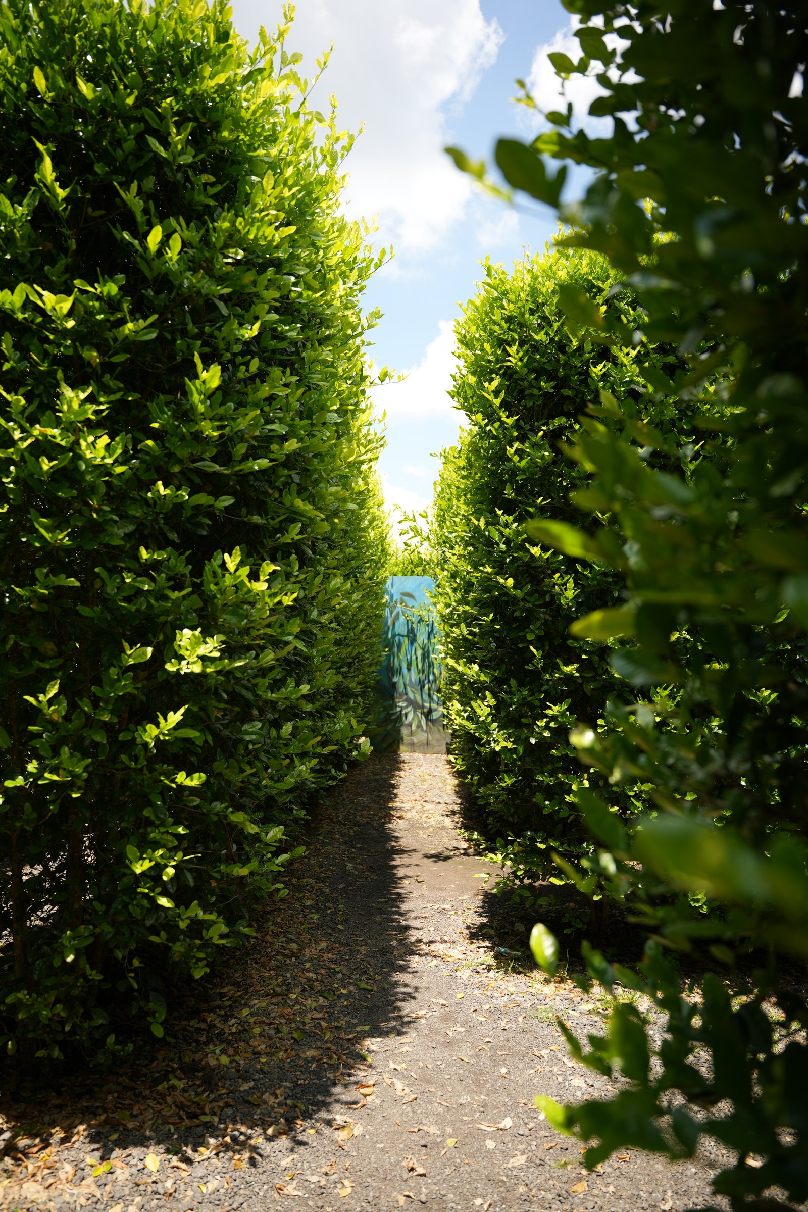 Sendero del Laberinto