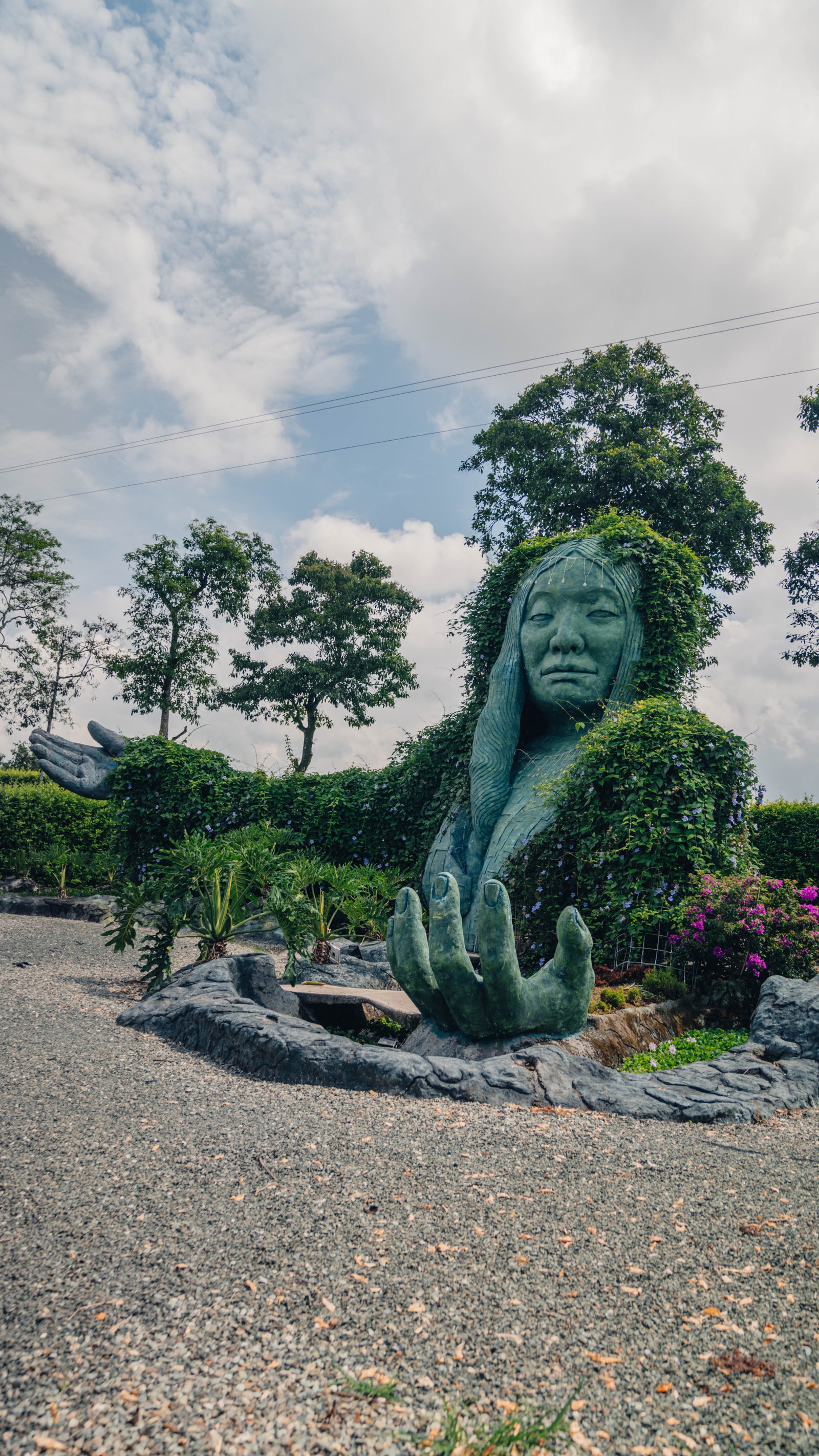 Mujer en Malla Catamarán